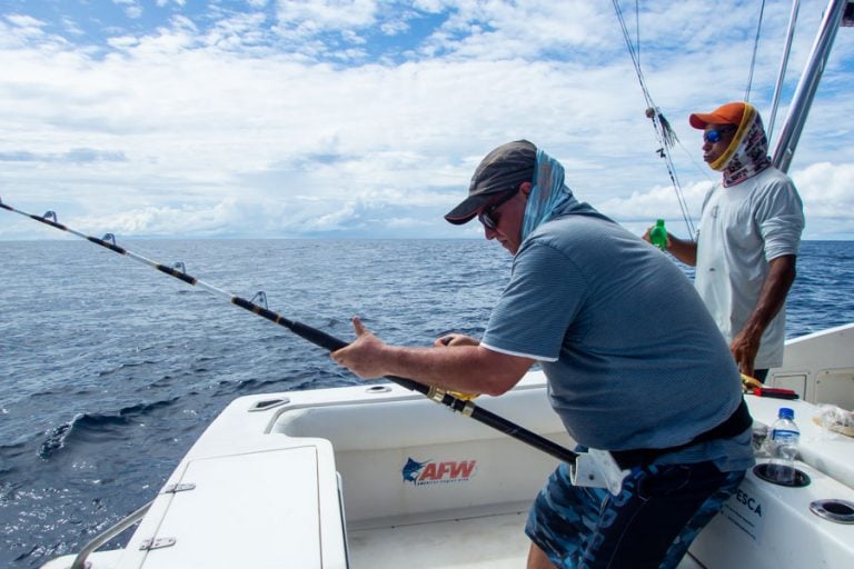 angler catches marlin crocodile bay