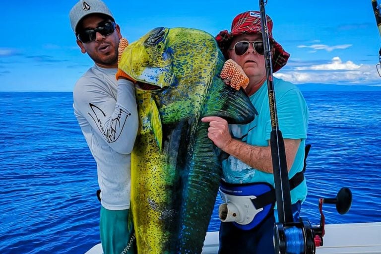 the biggest dorado