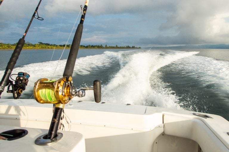 view from the back of big game boat