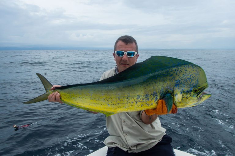 paul and his dorado