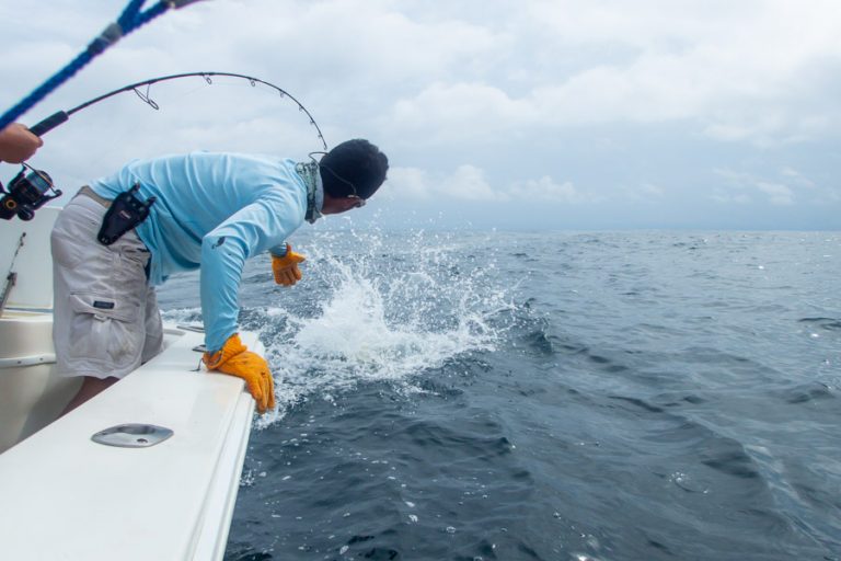 fishing in costa rica for dorado