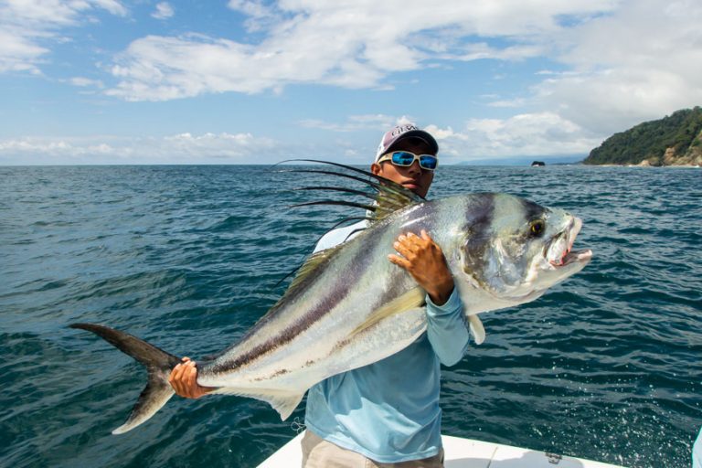 Huge Rooster Fish