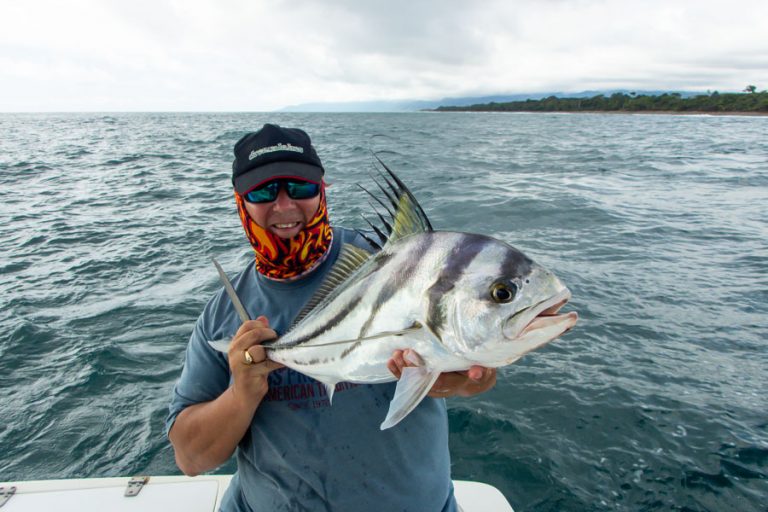 rooster fishing in crocodile bay