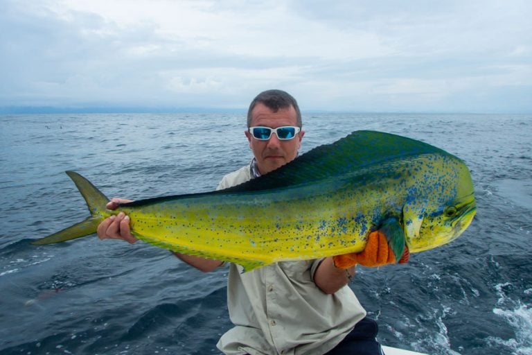 costa rica dorado