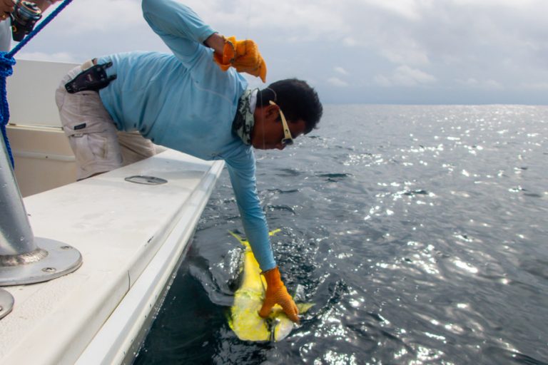 deckhand helping