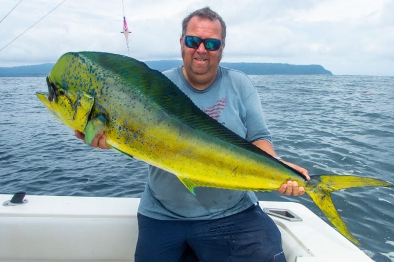 amazing dorado fishing in costa rica