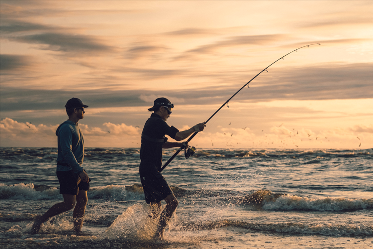 Gabon beach fishing 