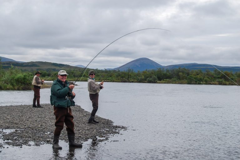 two men on the bank both playing salmon on the goodnews river alaska