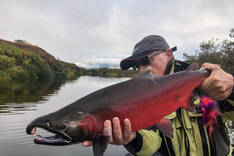 peter collingsworth with a big red fire engine colur male Coho from the goodnews river alaska