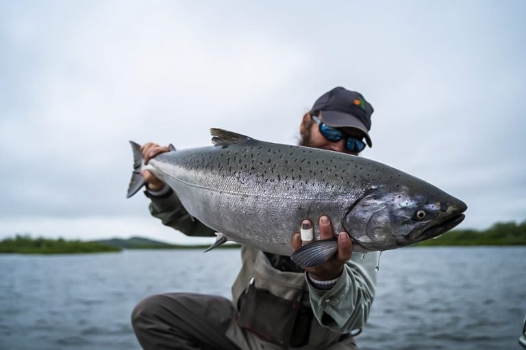 Holding up a big powerful Chook salmon