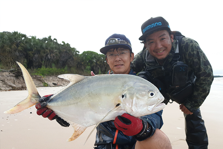 Jack crevalle