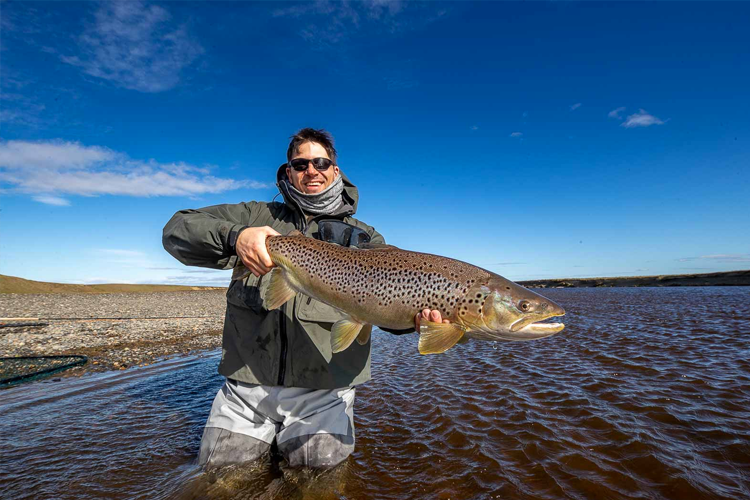 A Sea Run Brown Trout