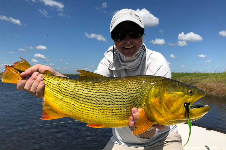 Golden Dorado from pira lodge