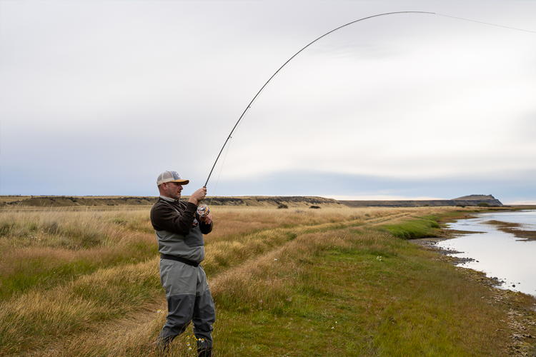 Bent rod by the river