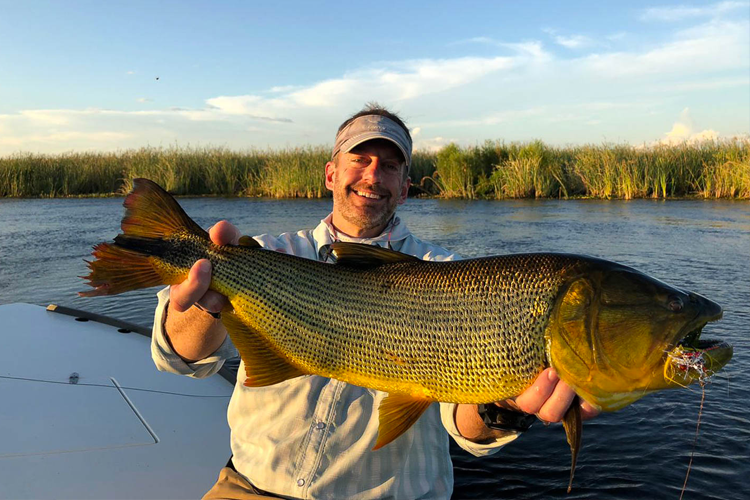 Golden Dorado from pira lodge