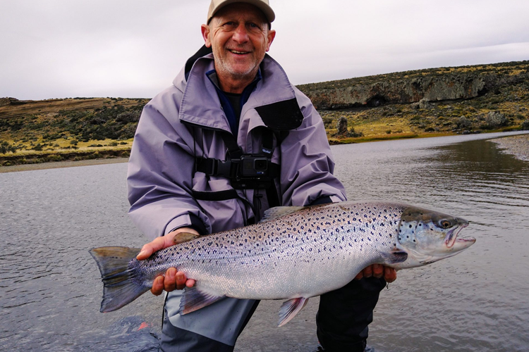 Large spotty sea trout