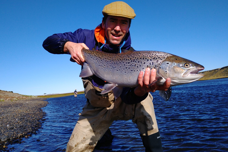 Spotty sea trout