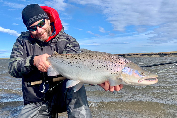 A bright chrome Sea Trout