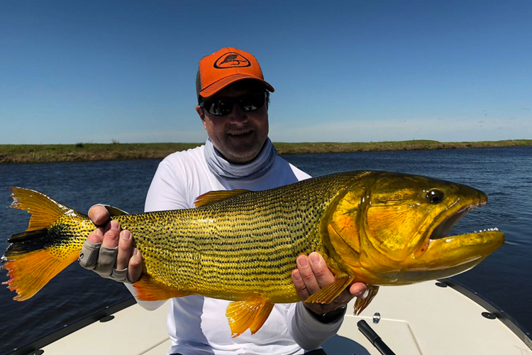 Golden Dorado from pira lodge