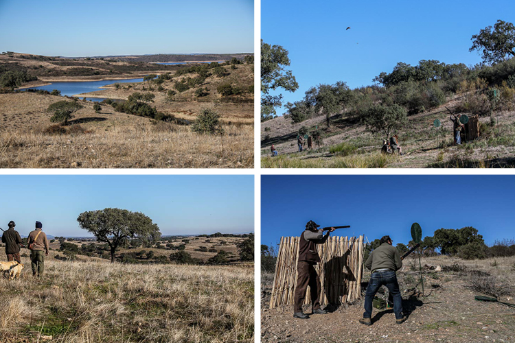 4 Great Landscapes From Argentinaa