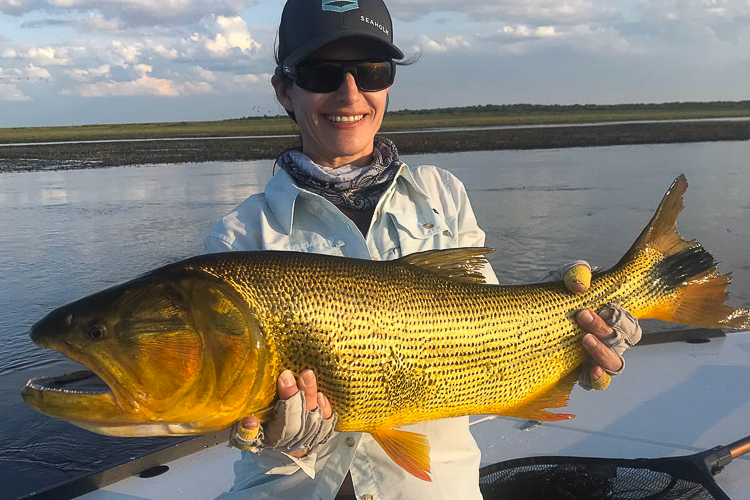 Golden Dorado from pira lodge