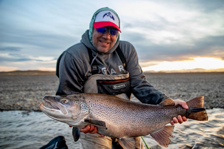 A large Sun run Brownie