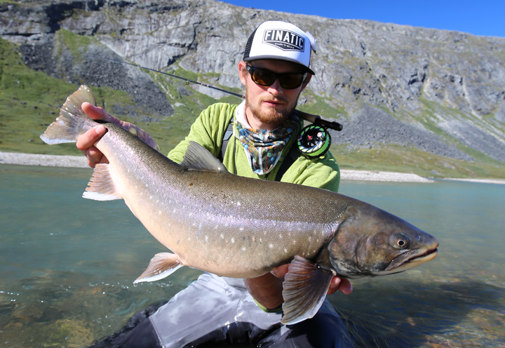 Spawning Arctic Char