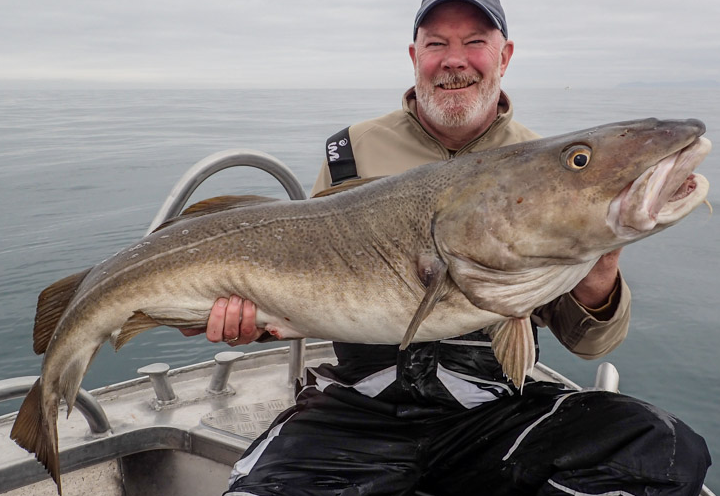 Angler with Large Cod