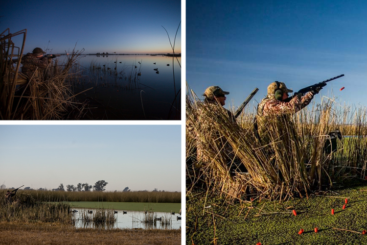 Jacana Lodge shooting lodge