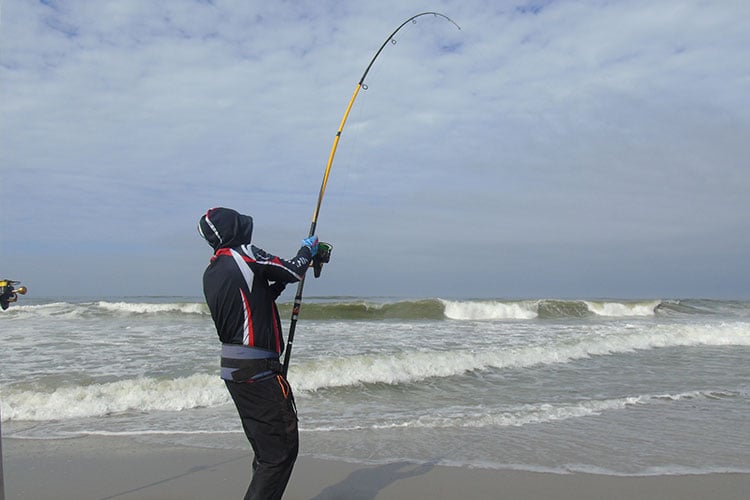 The Sportquest Hosted Namibia Shark Fishing Holiday 2020 Sportquest Holidays