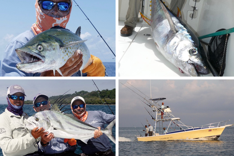 A selection of fish caught in costa rica