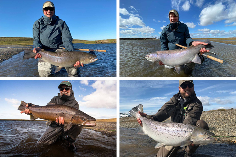 Large Sea Trout From Kau Tapen