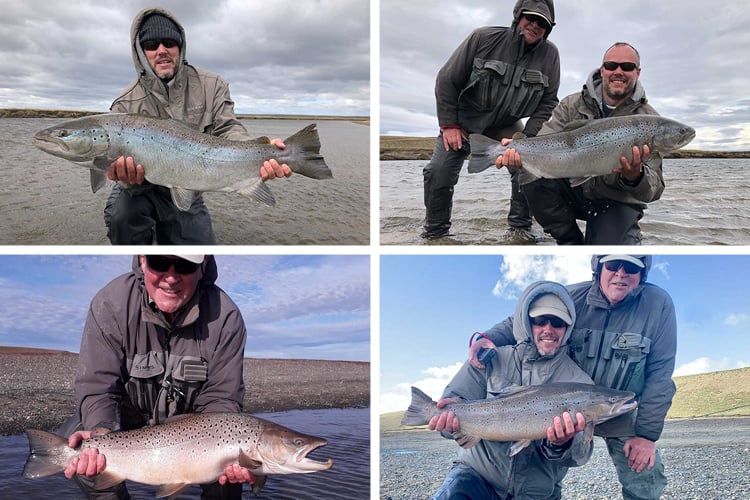 Large Chrome Sea Trout 