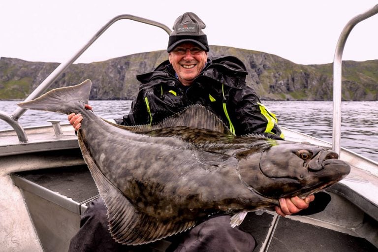 not a world record but still a large halibut