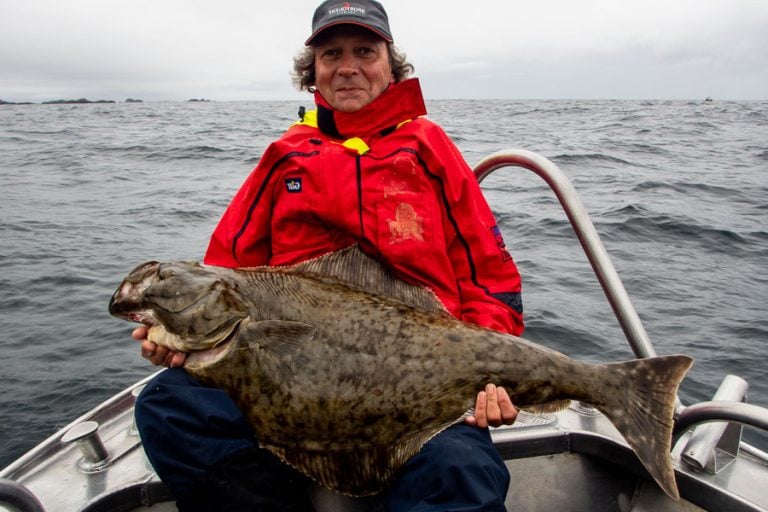 A small halibut but still big