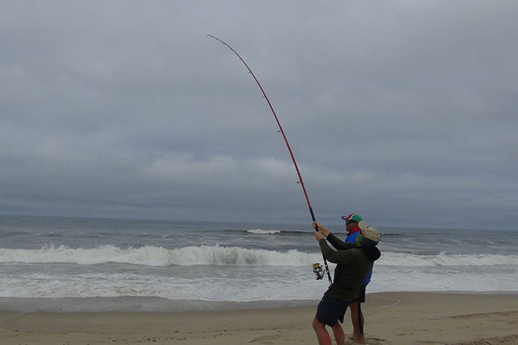 Shark Fishing Tips When Fishing From The Shore