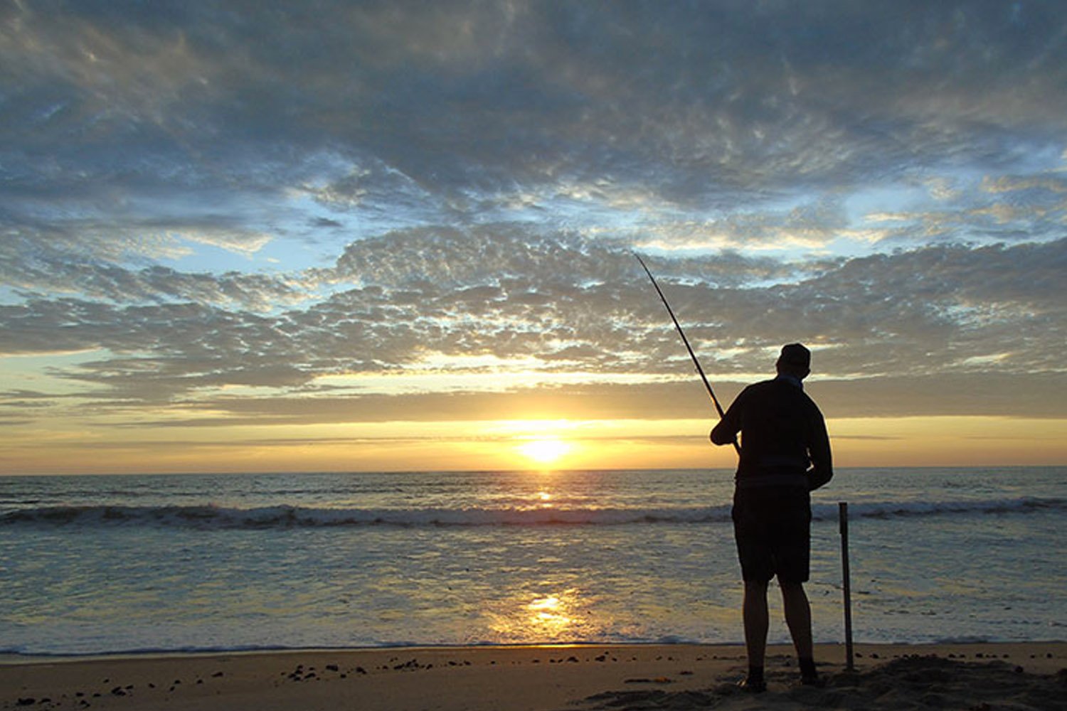 Shark Fishing Tips When Fishing From The Shore