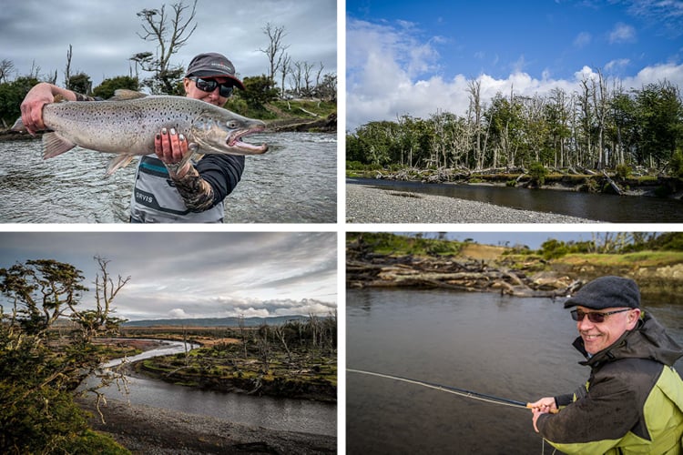 Sea trout pools and captures