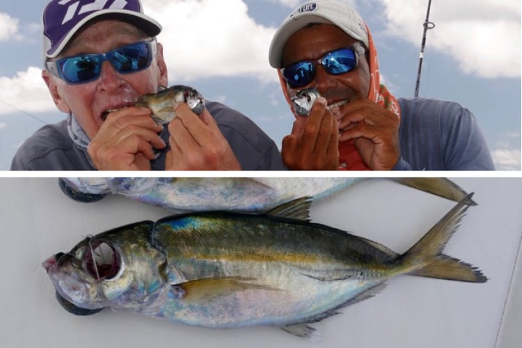 Anglers Eating Their Bait Fish