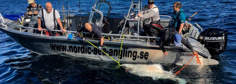 Sportquest Exclusive Halibut Competition in Norway
