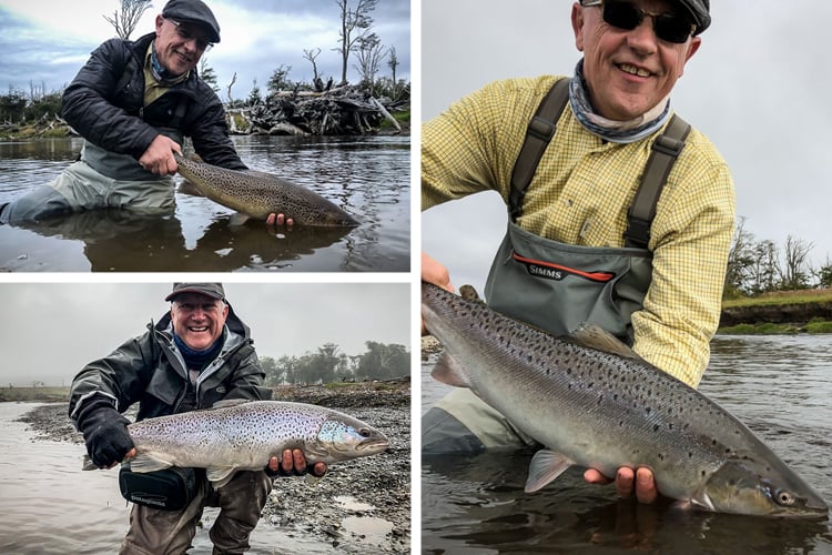 Sea trout from the Irigoyen River