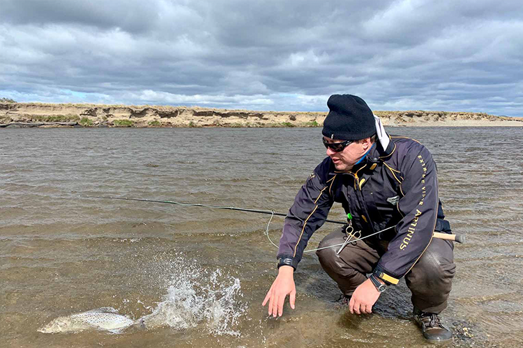 Releasing A Sea Trout Back To The river