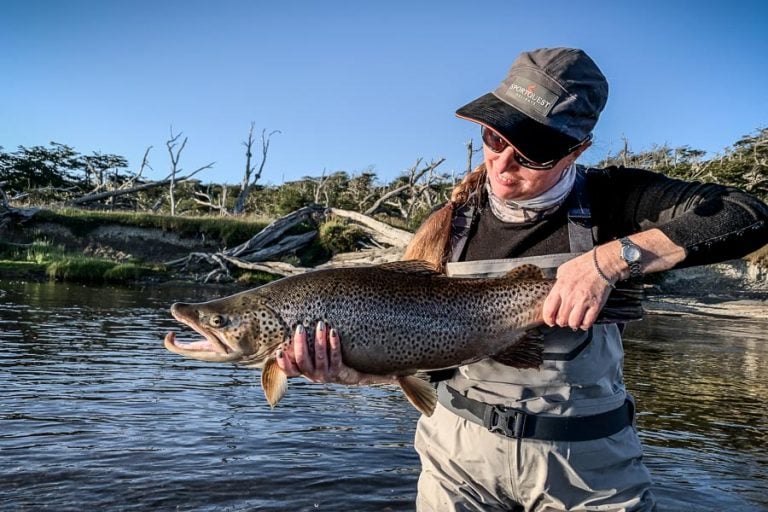 Large sea trout irigoyen river