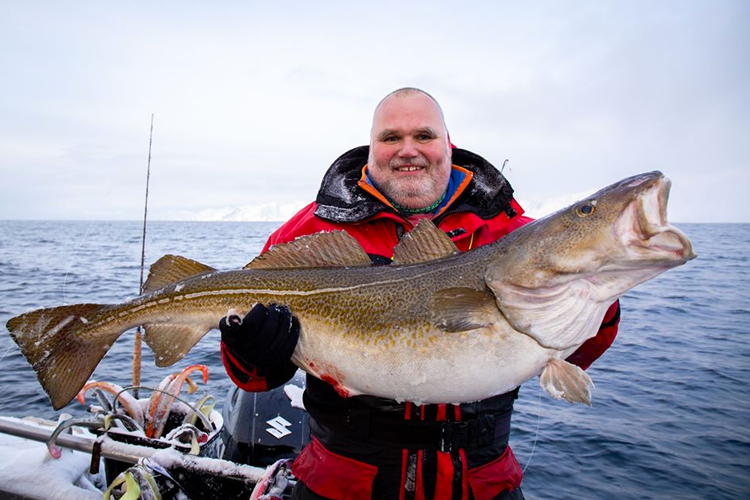 Skrei Cod From Norway