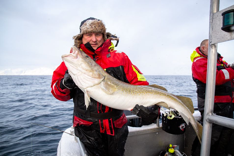 Skrei Cod From Norway