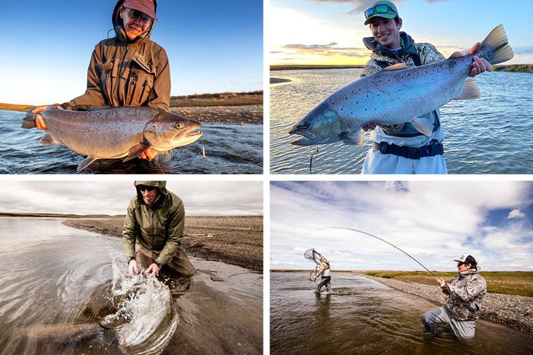 Catching and landing Sea trout