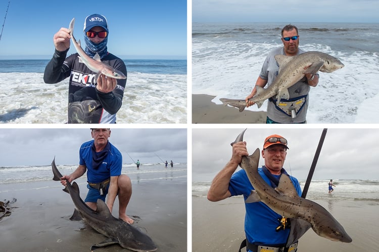 4 Great Fish From Namibia