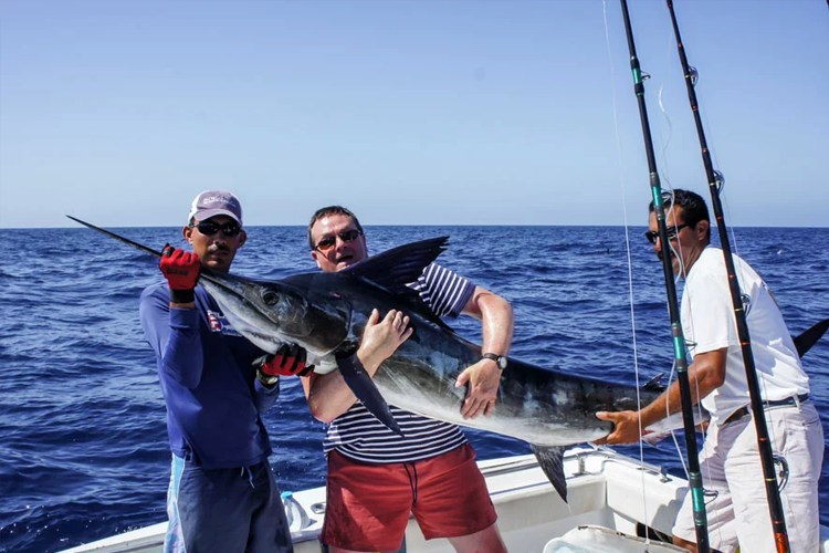 Blue Marlin on fishing Boat