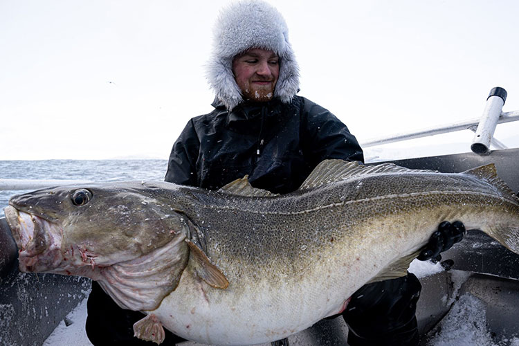 Top Tips On Cod Fishing Sørøya