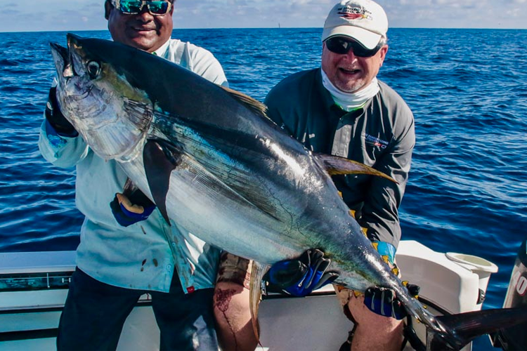 A large Yellowfin Tuna